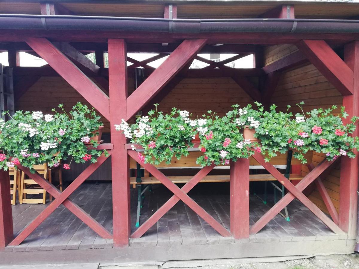 Apartament Roza Braşov Eksteriør bilde