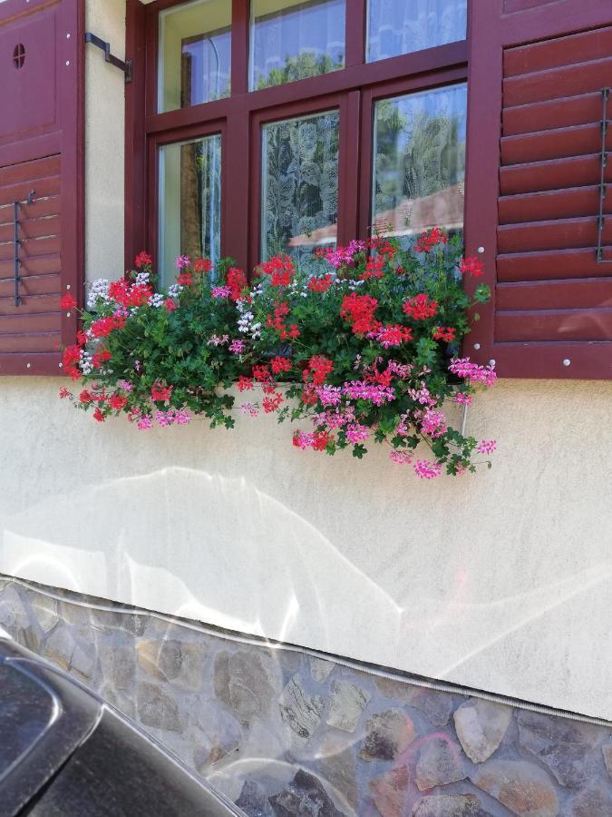 Apartament Roza Braşov Eksteriør bilde