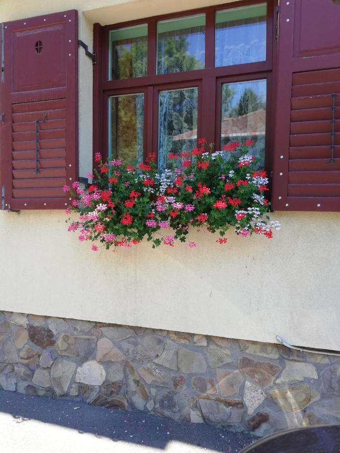 Apartament Roza Braşov Eksteriør bilde