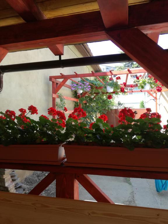 Apartament Roza Braşov Eksteriør bilde